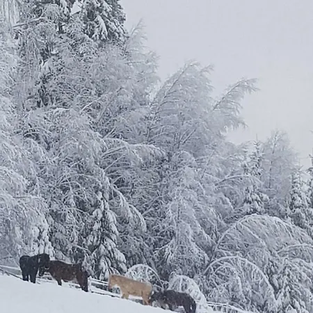 Tatil Evi Lille Randklev Gaestehus *