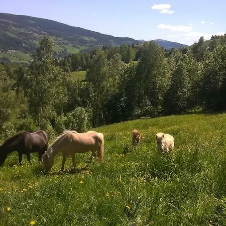 Lille Randklev Gaestehus Ringebu