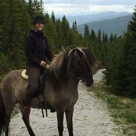 Tatil Evi Lille Randklev Gaestehus *