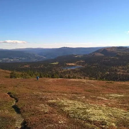 Lille Randklev Gaestehus Ringebu
