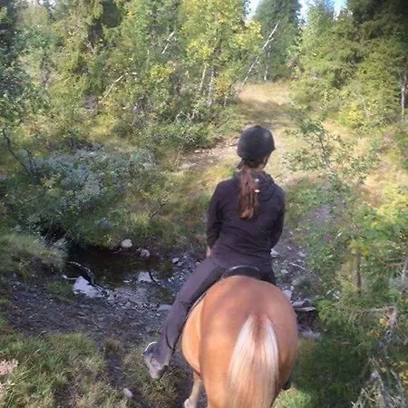 Tatil Evi Lille Randklev Gaestehus *