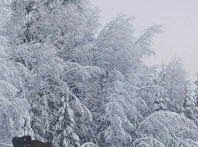 Semesterbostad Lille Randklev Gaestehus *