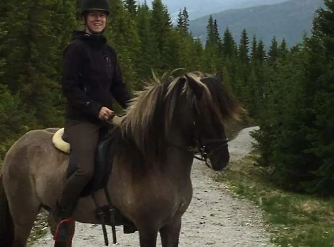 Semesterbostad Lille Randklev Gaestehus *