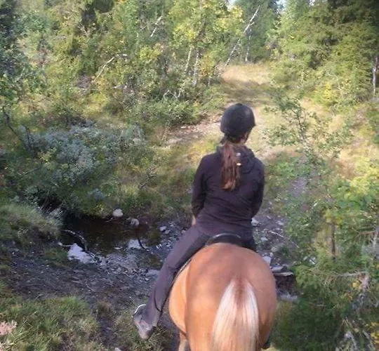 Semesterbostad Lille Randklev Gaestehus *