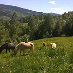 Lille Randklev Gaestehus Ringebu