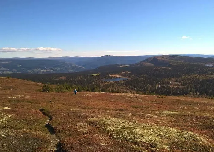 Lille Randklev Gaestehus Ringebu